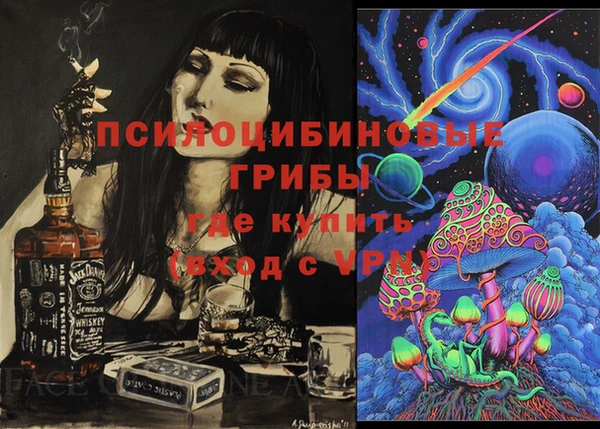 МДПВ Волосово