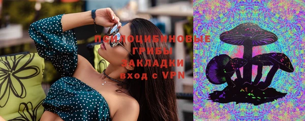 mdpv Вяземский