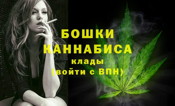 МДПВ Волосово