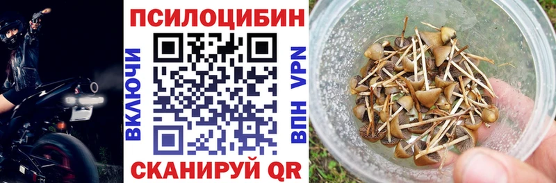 где продают   Чебоксары  Псилоцибиновые грибы Magic Shrooms 